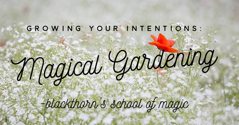 Growing Your Intentions: Magical Gardening and You