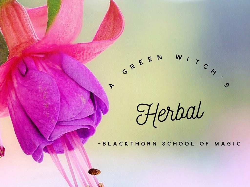 A Green Witch's Herbal